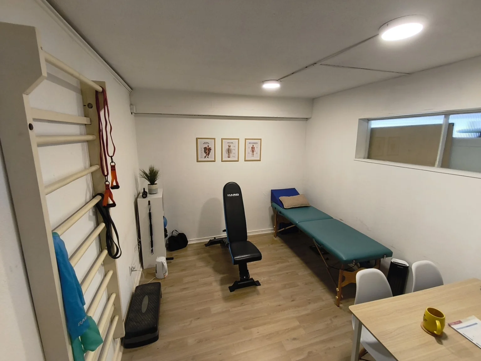 Consulta de kinesiología en Viña del Mar